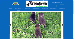 Desktop Screenshot of allthingswildrehab.org